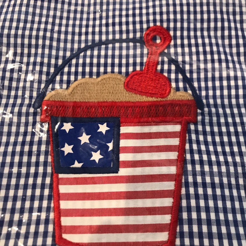 Lil Cactus blue gingham shortalll 12-18 months